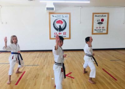 Traditional Karate classes Lakewood, Colorado