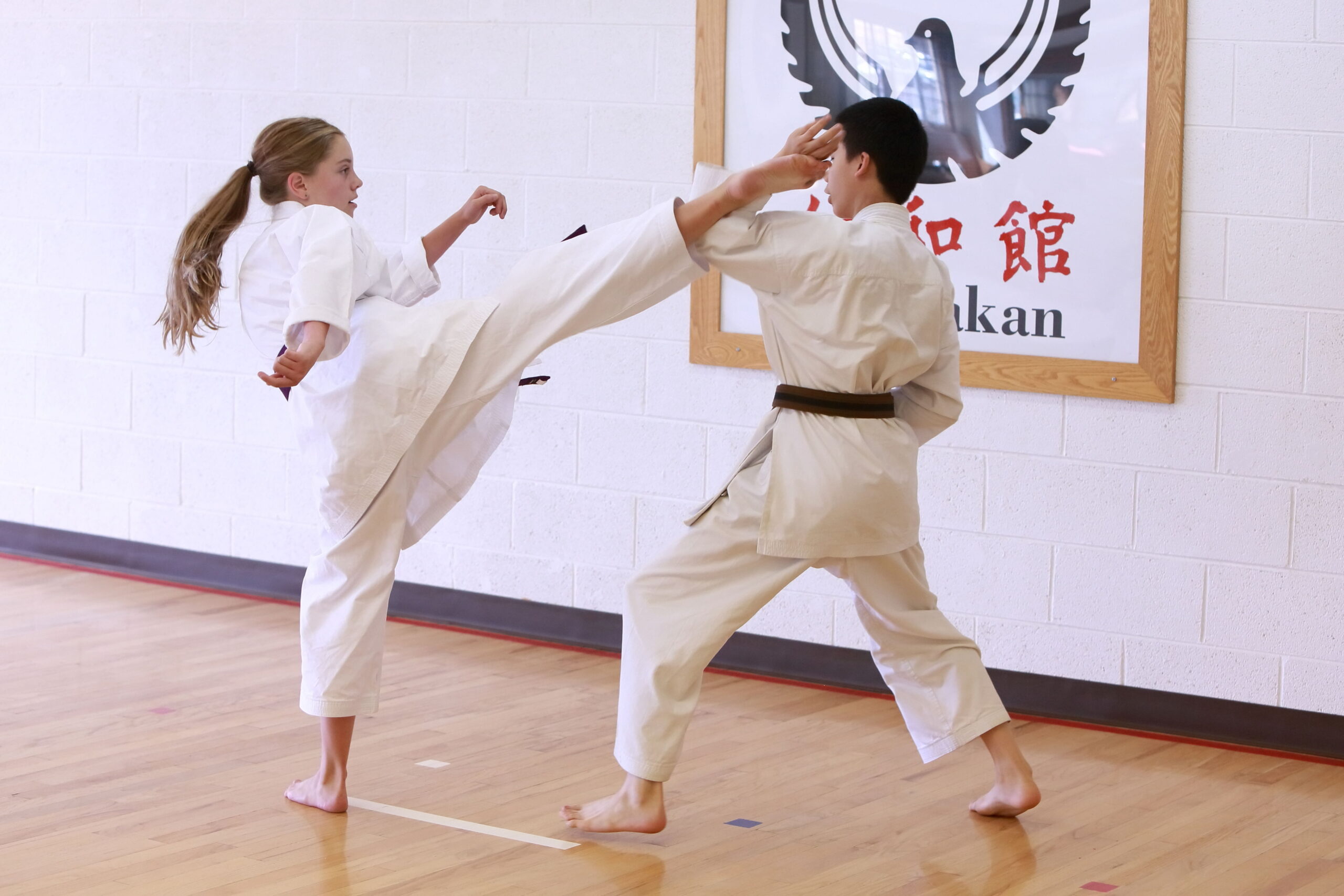 Karate Denver Colorado