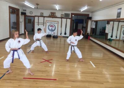 Traditional Karate classes Lakewood, Colorado