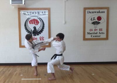 Traditional Karate Classes for children, Lakewood, Colorado